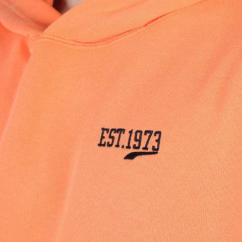 мужская толстовка PUMA Baseline Hoodie – фото для каталога